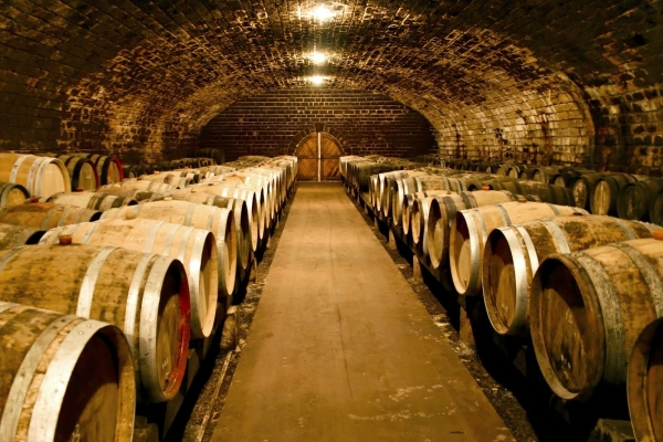 12. lipnja počinju Dani otvorenih podruma Osječko-baranjske županije