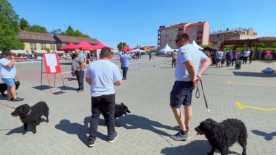 [VIDEO] Nacionalna izložba pasa svih pasmina CAC Đakovo 2022.