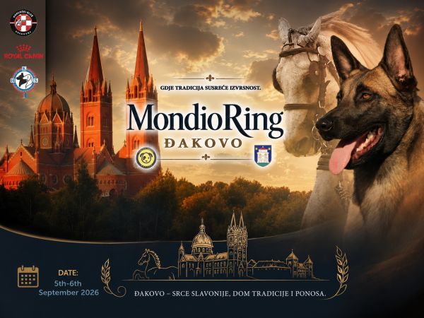 Đakovo domaćin atraktivnog Mondioringa: Snaga, disciplina i vrhunska suradnja psa i vodiča