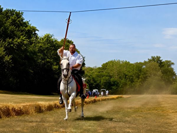 Održana 15. &Scaron;okačka alka u Selcima Đakovačkim &ndash; slavonska tradicija ponovno okupila brojne posjetitelje