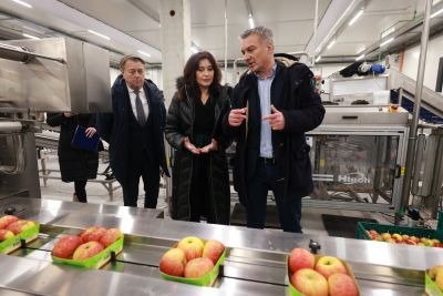 Regionalni distribucijski centar - ključna potpora domaćim proizvođačima voća i povrća