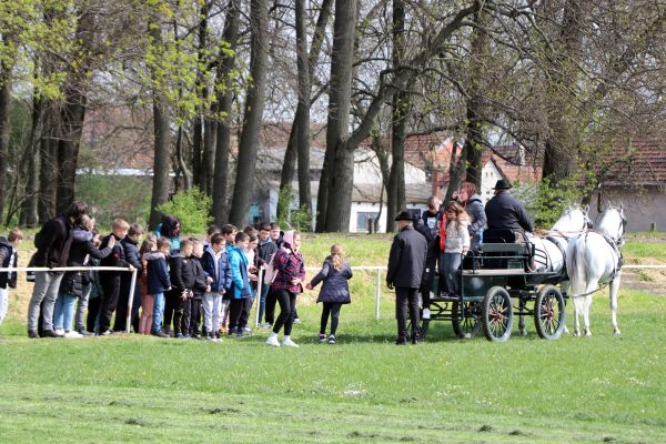 [PROGRAM] Uskrs na Državnoj ergeli Đakovo