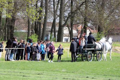 [PROGRAM] Uskrs na Državnoj ergeli Đakovo